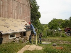 This is me working on the harness shed roof.  The only part of the barn roof I worked on.