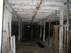 Basement of the barn before we started anything