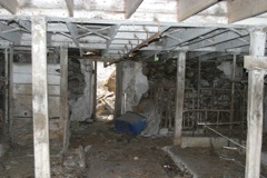 Inside the barn looking out...